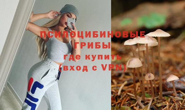 гидропоника Алзамай