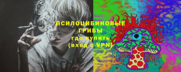 герыч Алексин