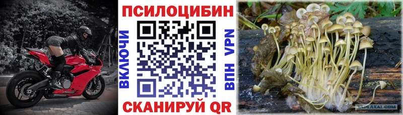 Галлюциногенные грибы GOLDEN TEACHER  Грязи 