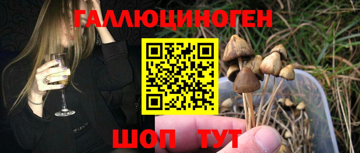 Галлюциногенные грибы мухоморы Грязи